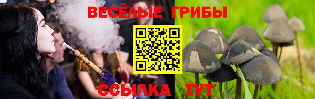 Псилоцибиновые грибы мухоморы  Галлюциногенные грибы Psilocybe  Балаково  Вход с VPN 