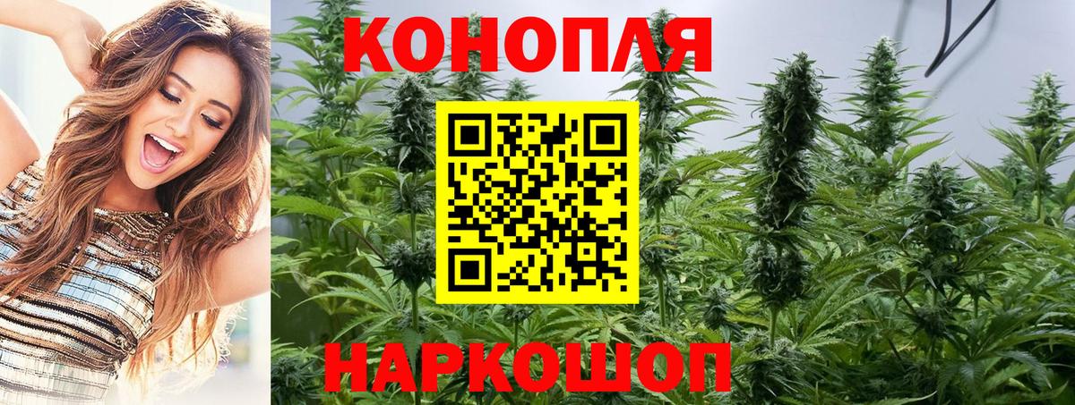 Конопля индика Балаково